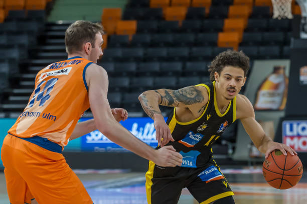 极化的解读 极化的解读